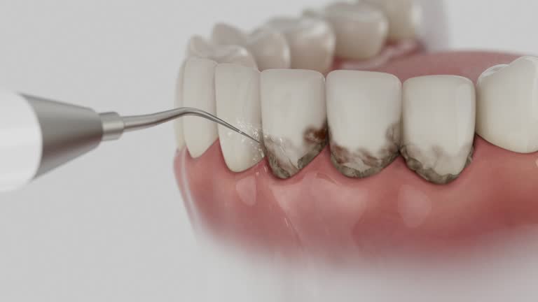 Reliable Dental contractor in Harrisville, RI by Dentist Open Now
